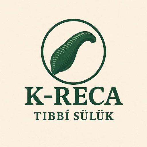 K-RECA Logo